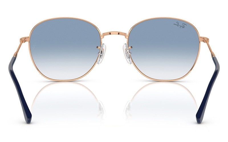 RB3809 92623F 53 レイバン Ray-Ban サングラス ラウンド パントス