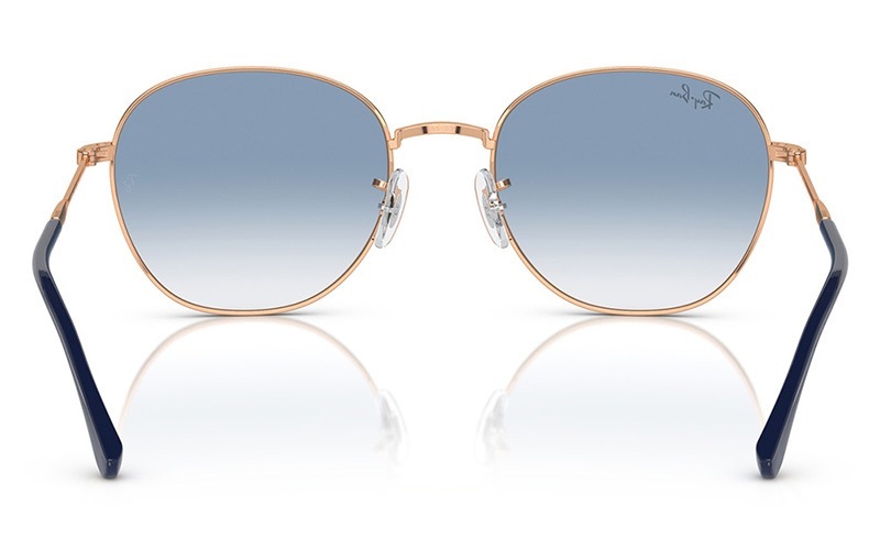 RB3809 92623F 55 レイバン Ray-Ban サングラス ラウンド パントス