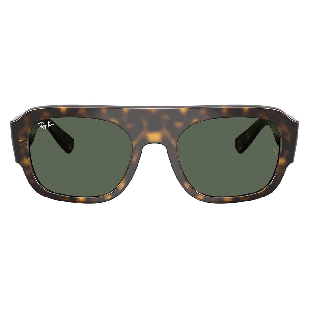 RB2218 679071 55 レイバン Ray-Ban 多角形 セル ユニセックス | 商品