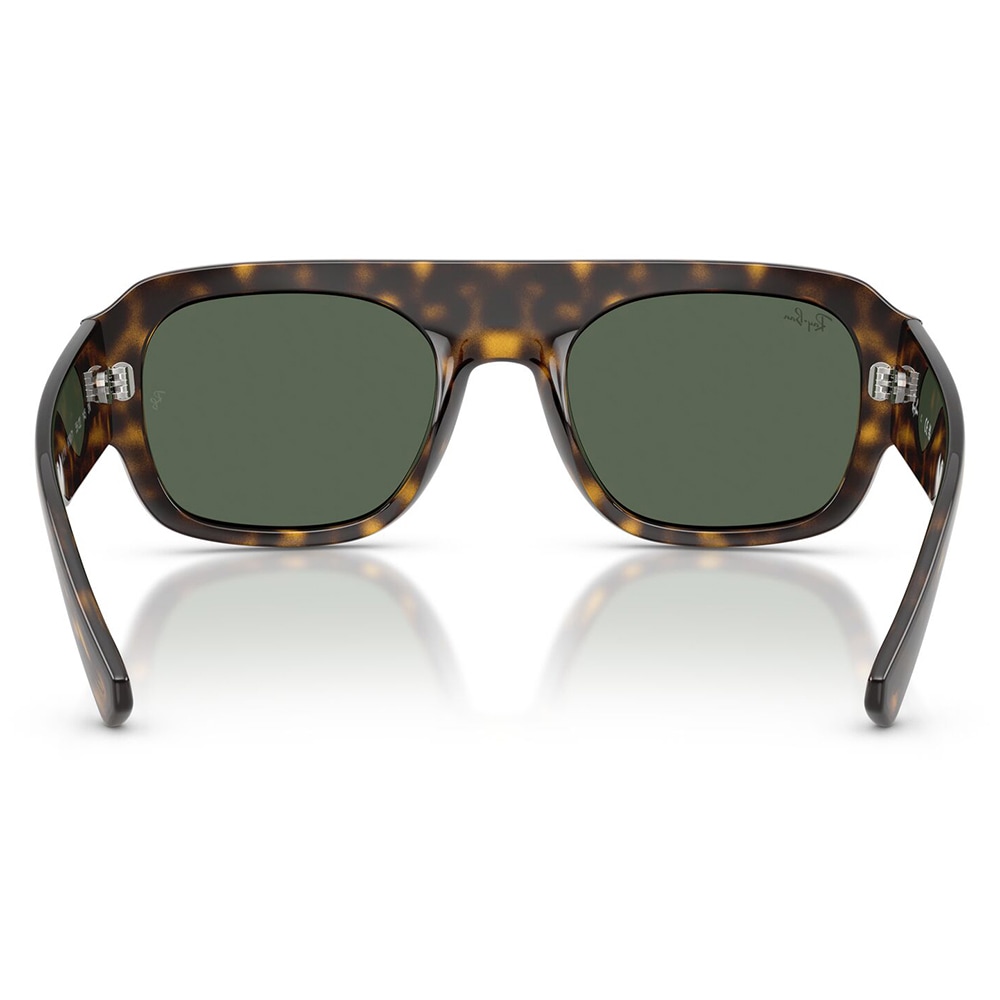 RB2218 679071 55 レイバン Ray-Ban 多角形 セル ユニセックス | 商品