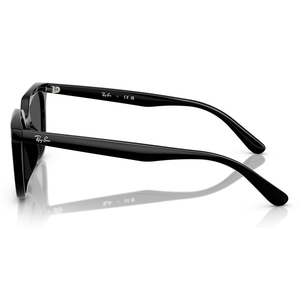 Ray-Ban RayBan レイバン サングラス メガネフレーム 51□20