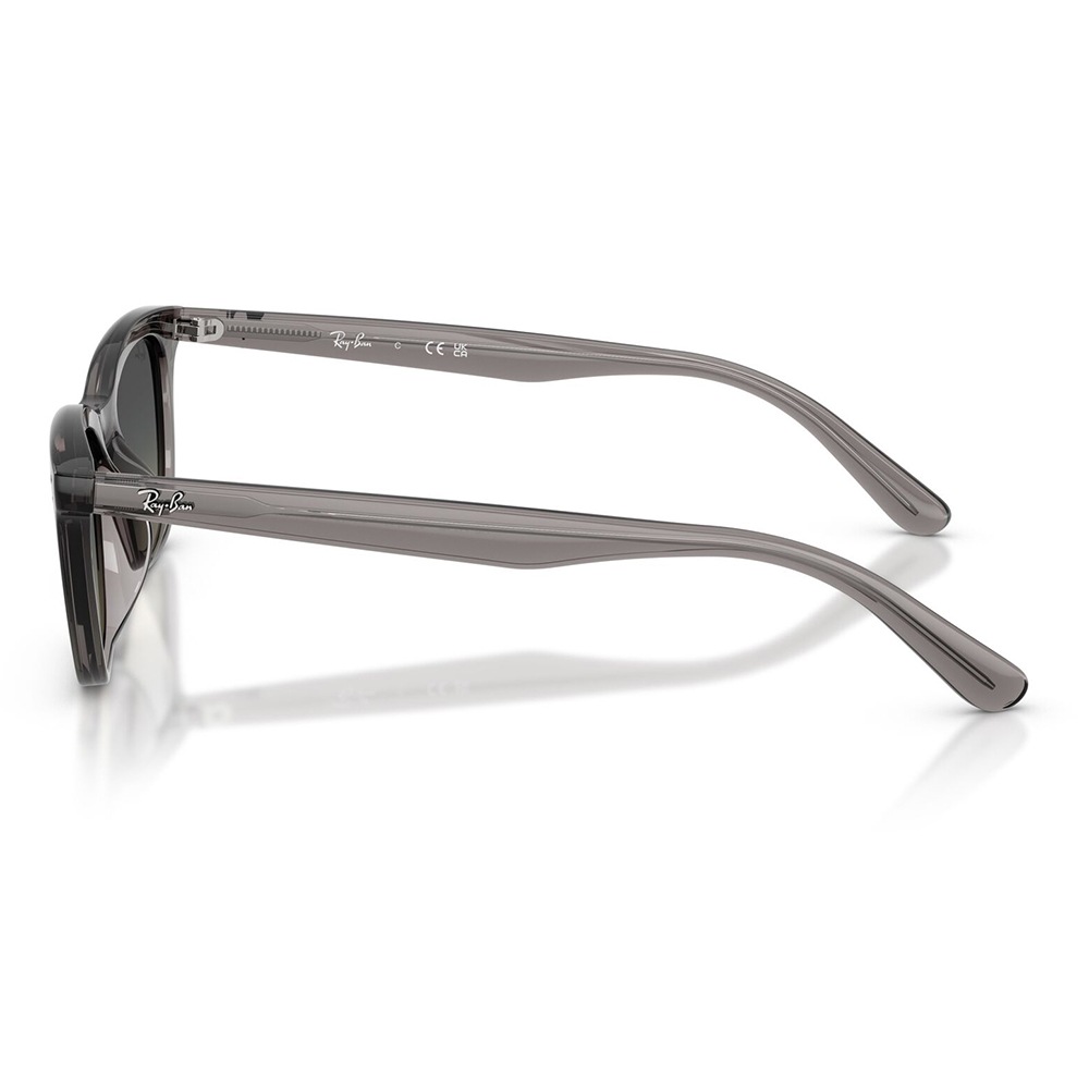 RB4474D 667511 54 レイバン Ray-Ban サングラス ローブリッジフィット