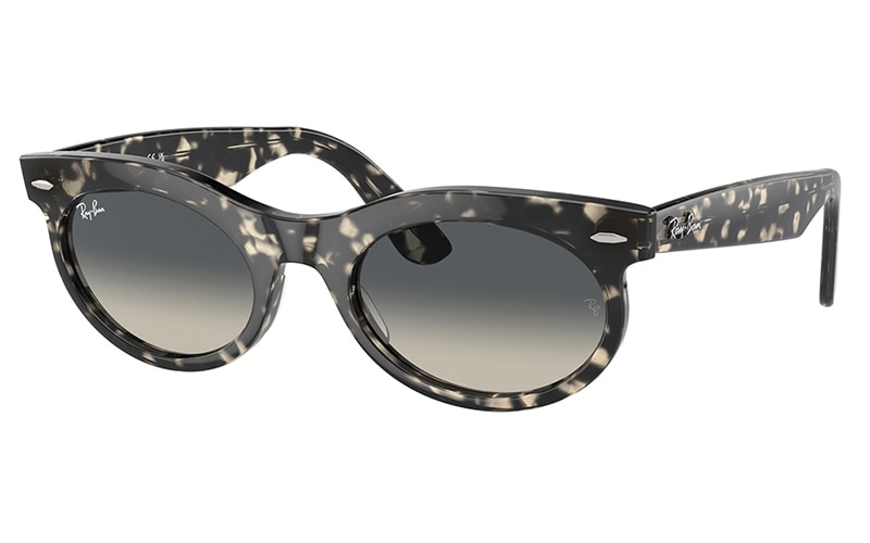 RB2242F 13371 53 レイバン WAYFARER OVAL オーバル セル フル