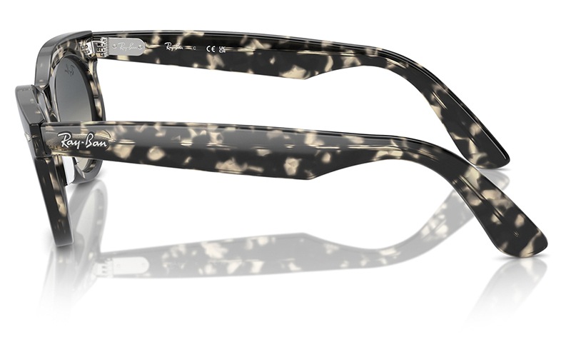 RB2242F 13371 53 レイバン WAYFARER OVAL オーバル セル フル