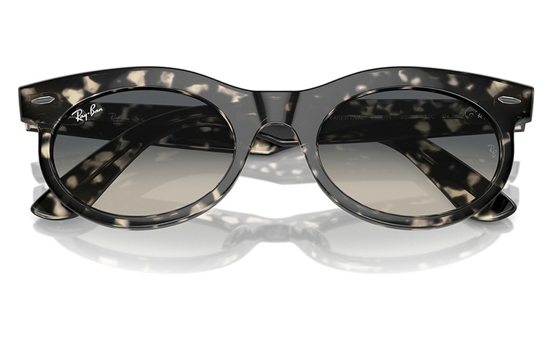 RB2242F 13371 53 レイバン WAYFARER OVAL オーバル セル フルフィット