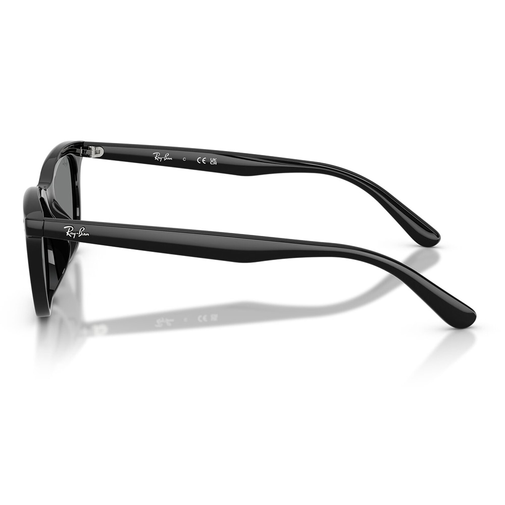 RB4474D 901/87 54 レイバン Ray-Ban サングラス ローブリッジフィット