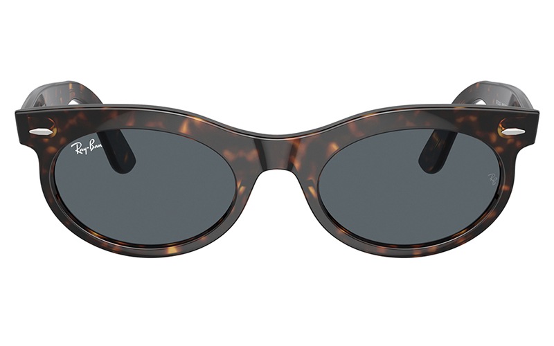 RB2242F 902/R5 53 レイバン WAYFARER OVAL オーバル セル フル