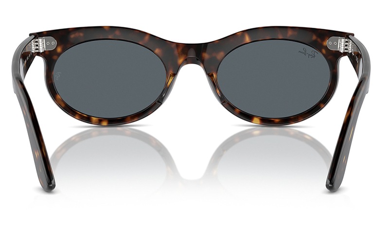RB2242F 902/R5 53 レイバン WAYFARER OVAL オーバル セル フル