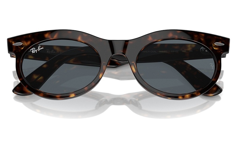 RB2242F 902/R5 53 レイバン WAYFARER OVAL オーバル セル フル