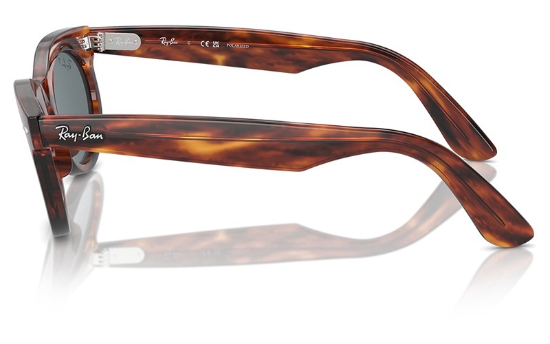 RB2242F 954/3R 53 レイバン WAYFARER OVAL オーバル セル フル