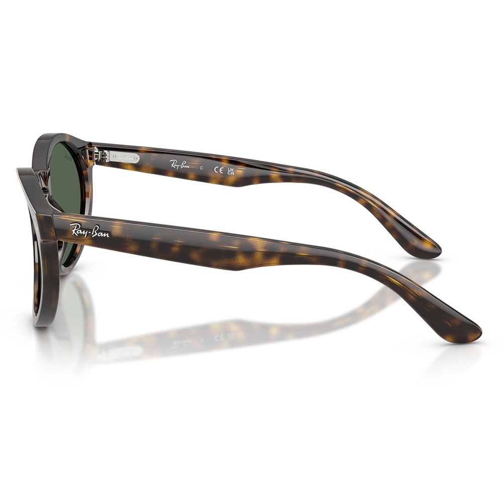 RBR0505S 6790VR 52 レイバン Ray-Ban サングラス REVERSE FAM