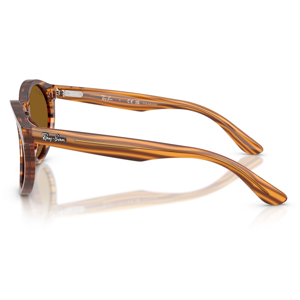 RBR0505S 679183 52 レイバン Ray-Ban サングラス REVERSE FAM