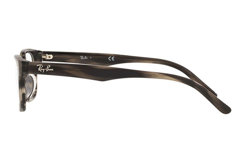 RX5345D 5855 53 レイバン Ray-Ban メガネフレーム アジアン