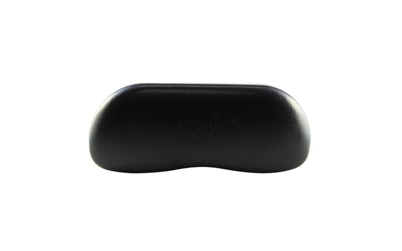 RX8731D 1204 55 レイバン Ray-Ban アジアンモデル ナイロール チタン