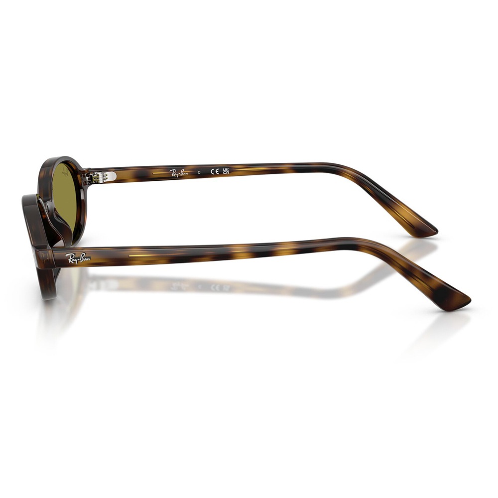 RB4472 1359/2 51 レイバン Ray-Ban KHAL カル セル オーバル ユニ