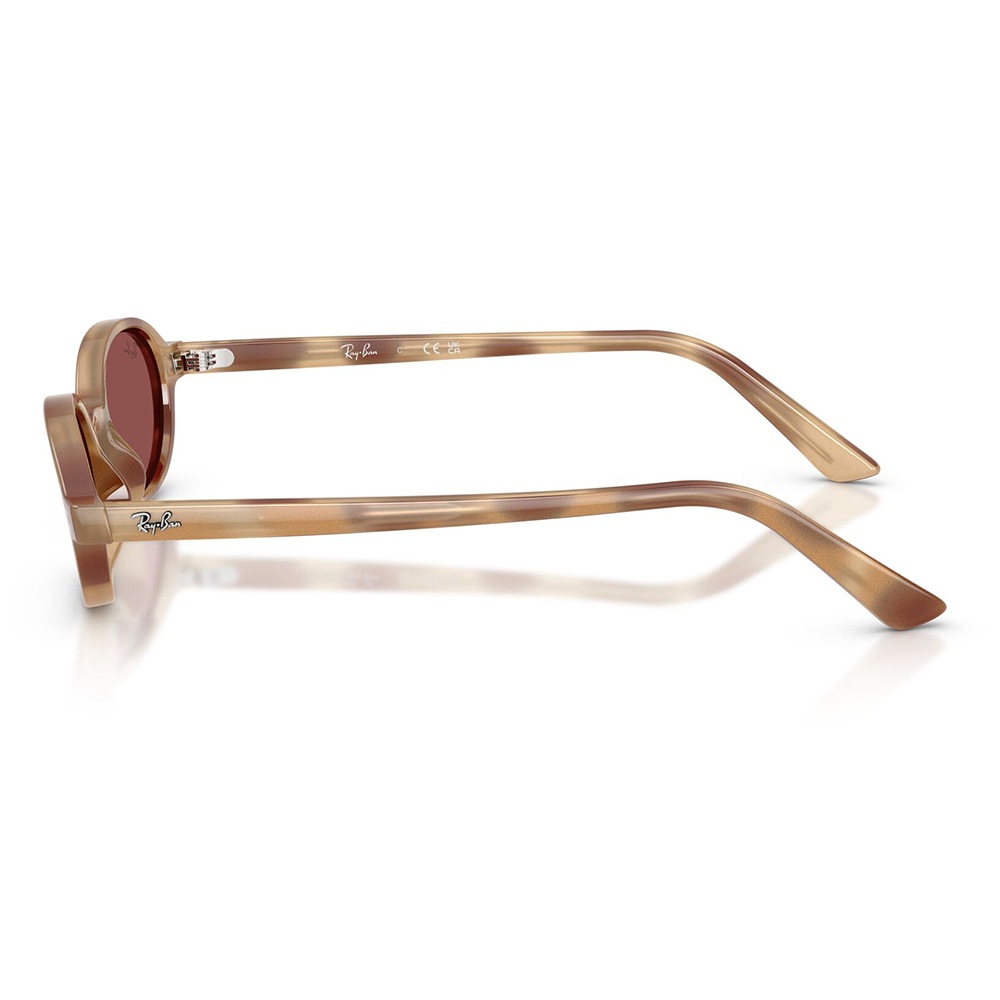 RB4472 685675 48 レイバン Ray-Ban KHAL カル セル オーバル ユニ