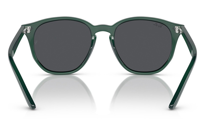 Ray-Ban オーバルサングラス ケース付き Ray-Ban オーバル型サングラス ケース付き新しいオリジナル最新