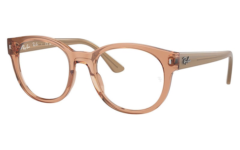 RX7227F 8313 53 レイバン Ray-Ban ボストン ウェリントン フル