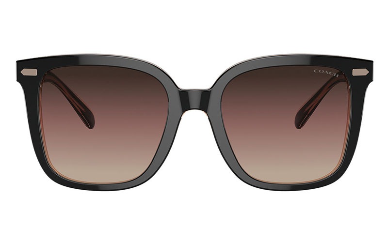 ☆美品☆送料無料☆COACHコーチサングラス☆ケース、クロス☆ COACH（コーチ） サングラスケース 眼鏡ケース メガネケース