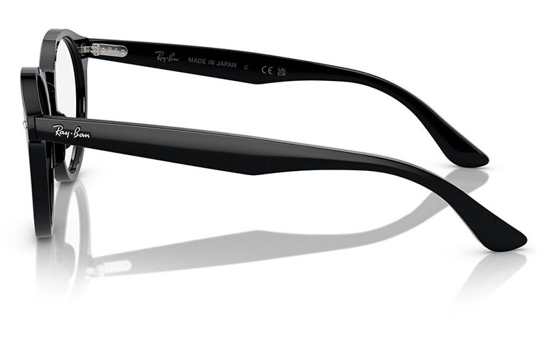 レイリー Ray-Ban(レイバン) RX 8774D-1047ポリッシュガンメタル(55