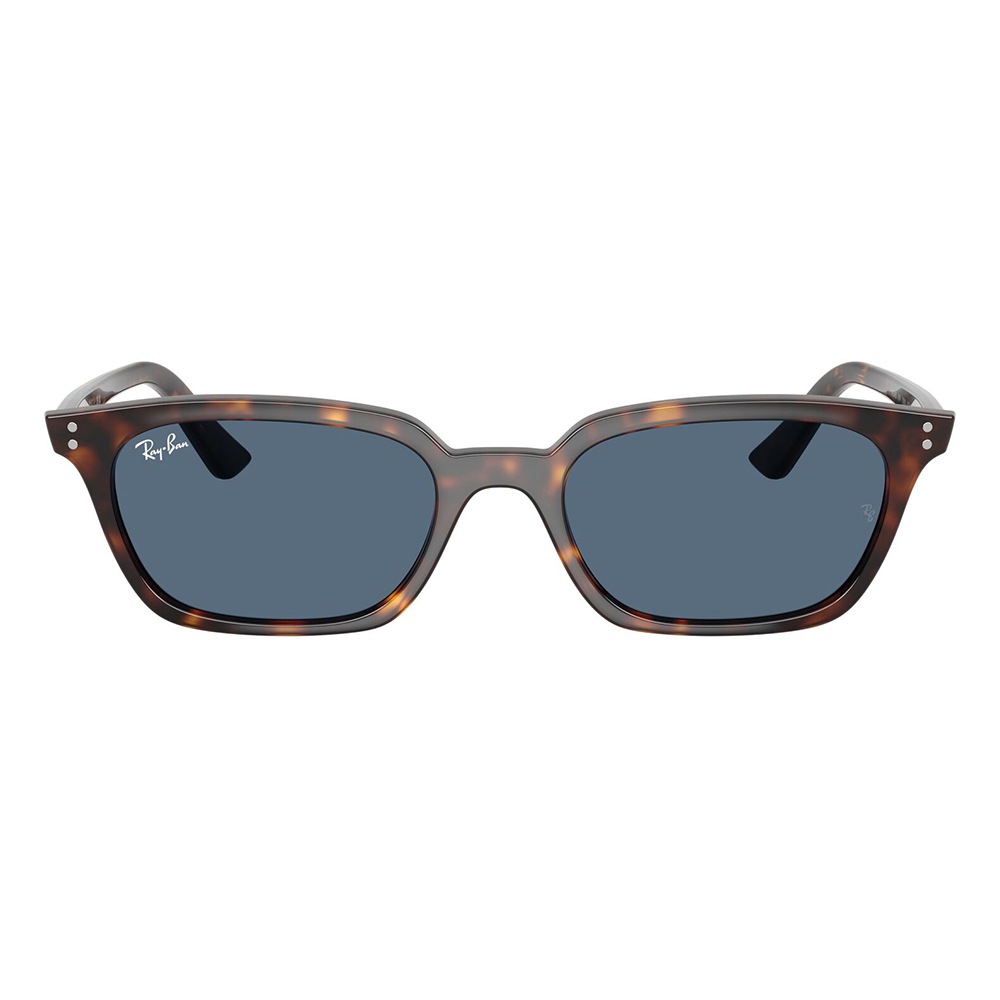 RB4456 135980 53 レイバン Ray-Ban サングラス ZAYA ザヤ PULSE