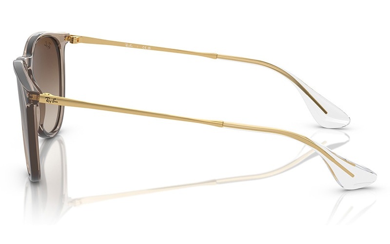 RB4171F 674413 54 ERIKA エリカ フルフィットモデル ボストン | 商品