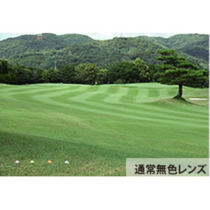 ゴルフサングラス SDGs PICHI STOP LITTERING 48（p26-eagleview）