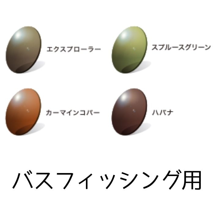 偏光レンズ(rarts)