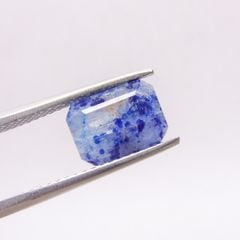 ��8/15-21����ۥ������饤�ȡʥ��ڥ���륪��������