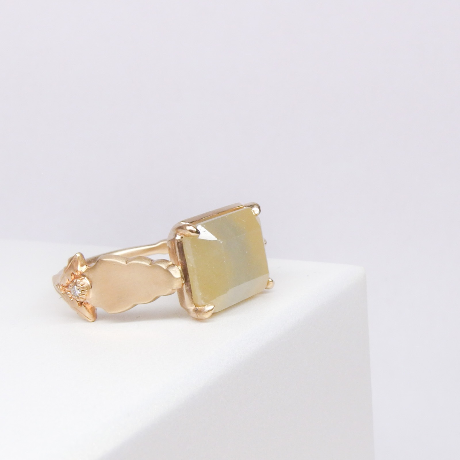 �Х����顼���ե�������� (�����ࡧ����ݤ�)