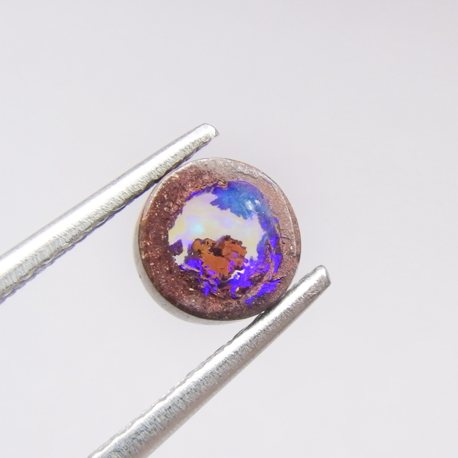 ��3/20-29����ۥ��åɥ��ѡ���ʥ��ڥ���륪��������