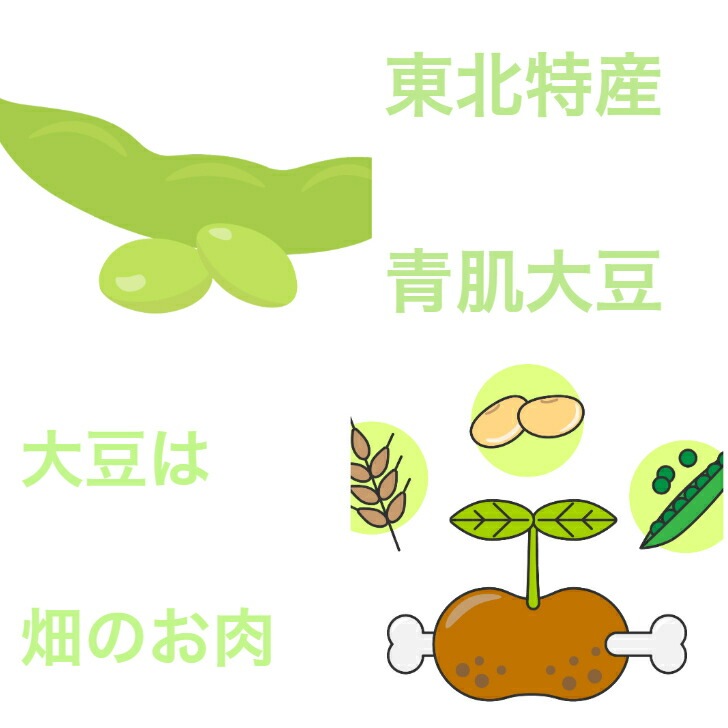 ひたし豆（250ｇ）<br>東北特産青肌大豆（山形県産）