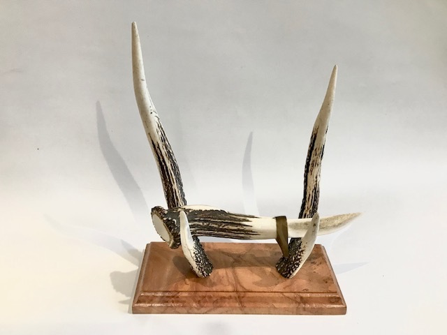 鹿角 オリジナルペーパーナイフ① | アクセサリー＆グッズ