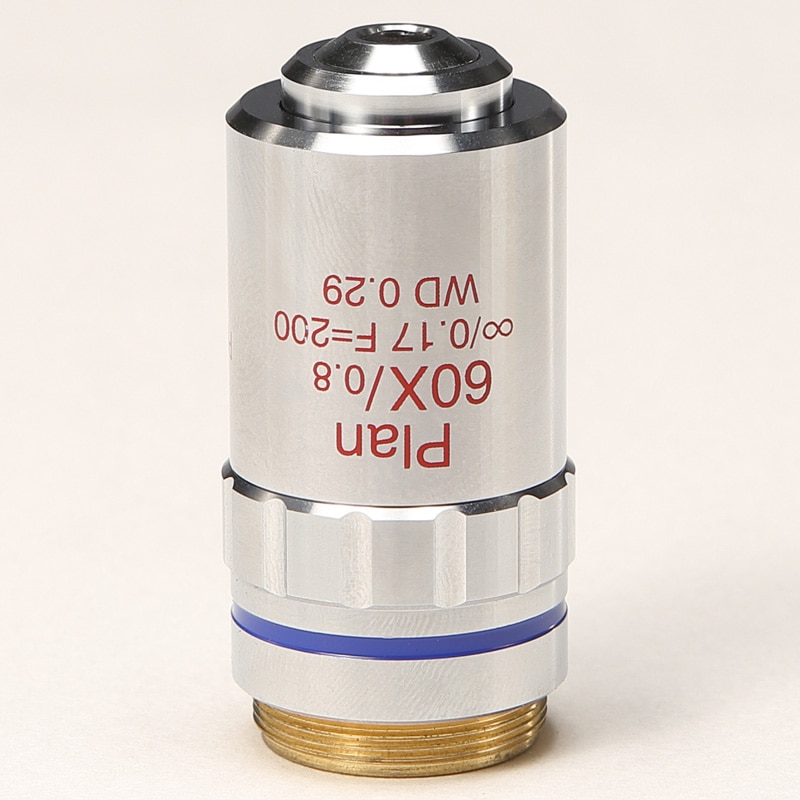 иѻѡ ȥե꡼Ĥʤ Plan ʪ 60X(MT9000꡼)