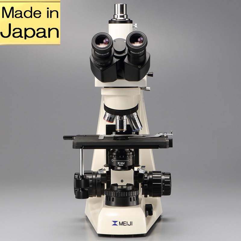 ľΥå׸ǥۡۻʪMT5300L/DS