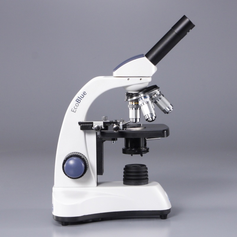 ��ľ�Υ���å׸����ǥ�ۡ���ʪ��������MT-11M