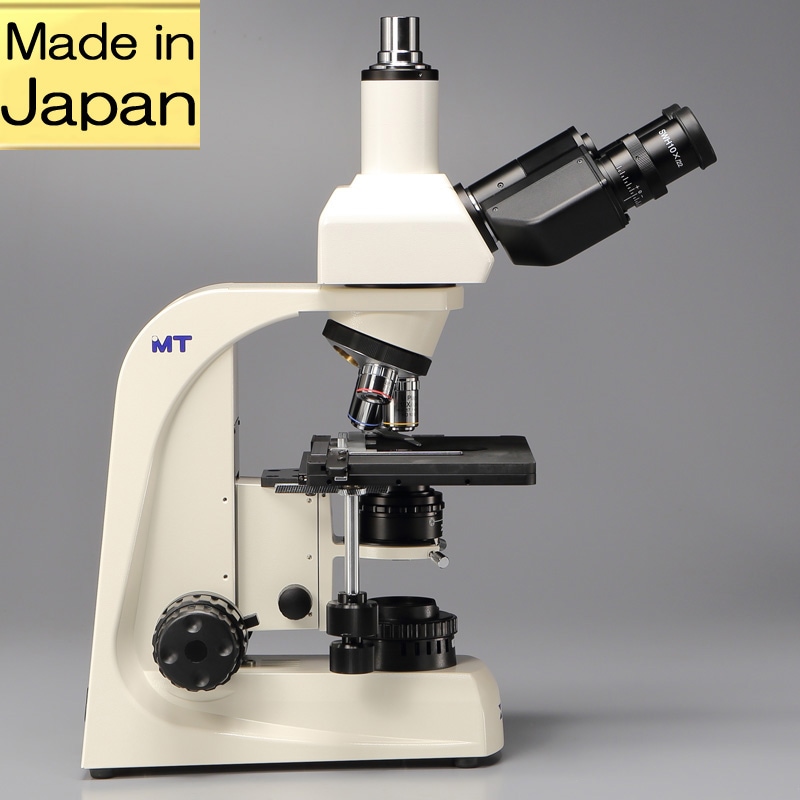 ľΥå׸ǥۡۻʪMT5300L/DS