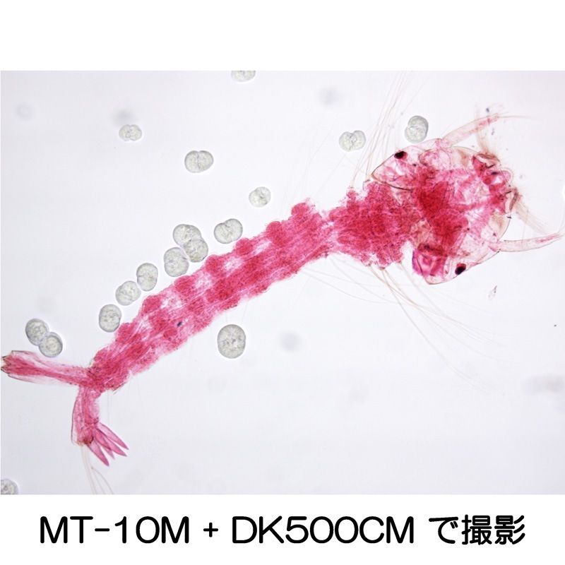 ܴˤղǽ USB3.0б˥СCޥȥ顡DK500CM