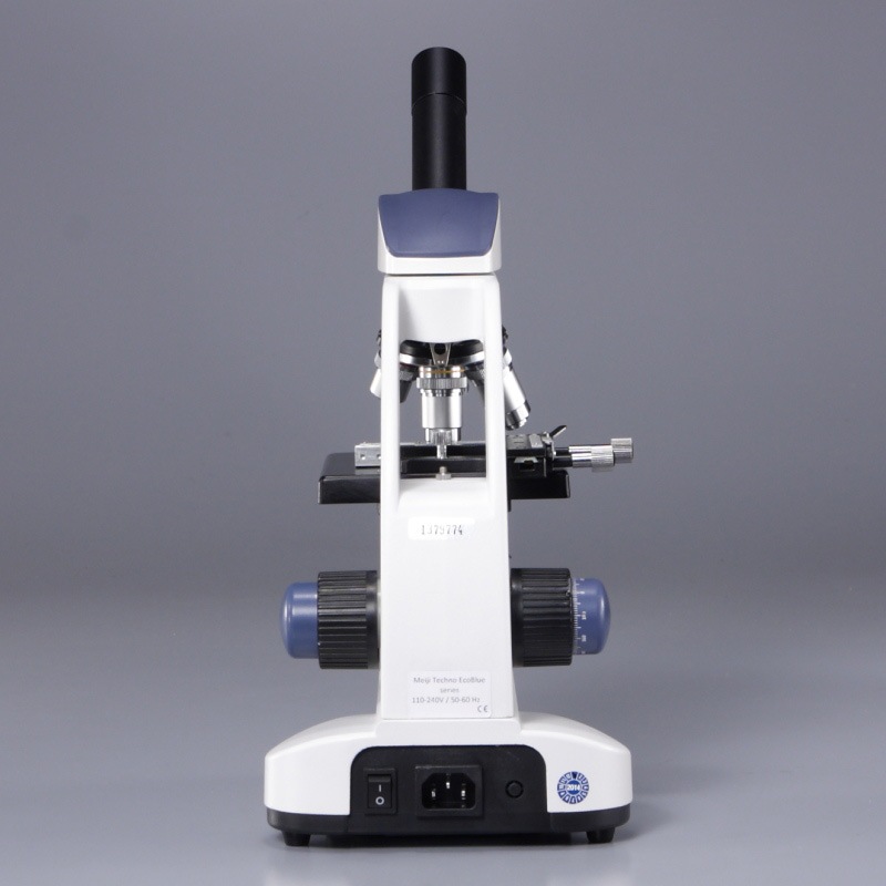 ��ľ�Υ���å׸����ǥ�ۡ���ʪ��������MT-11M