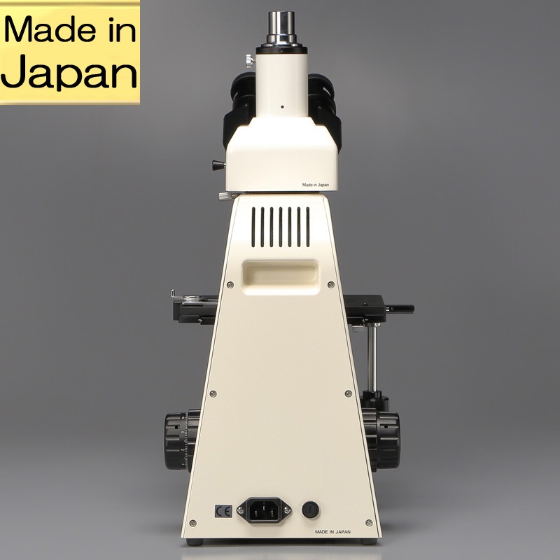 ľΥå׸ǥۡۻʪMT5300L/DS