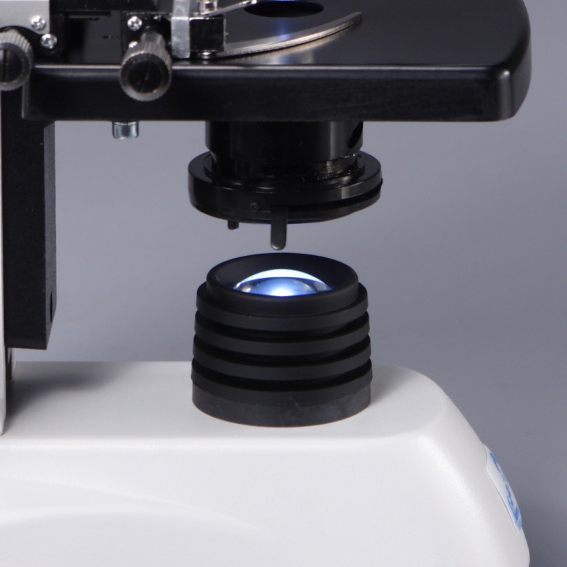 ��ľ�Υ���å׸����ǥ�ۡ���ʪ��������MT-11M