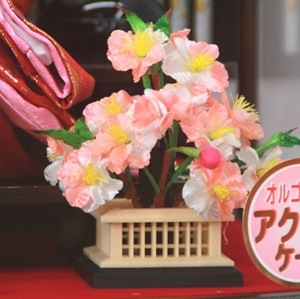 ケース入り雛人形 No.6-6OKバック金 格子