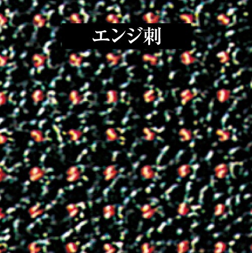  ƻɶ 16 5m/mɡɳա̡ƹüꡦ4å ƻɶ 16 5m/m ƻɶ񥻥å ɳ ̡ƹüꡦ4å ƻ ɶ å