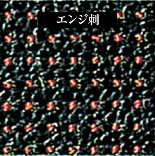  ƻɶ 17 5m/mɡɳա̡ƹüꡦ4å ƻɶ 17 5m/m ƻɶ񥻥å ɳ ̡ƹüꡦ4å ƻ ɶ å