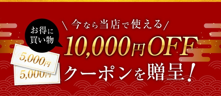 ƻɶ å ƻɶ񥻥å ɶ 1ʬ5һ  ̡ƹüꡦ ƻ ŹĹƻɶ