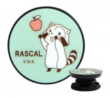 饹 POCOPOCO 󤴡7Ķ˽в١