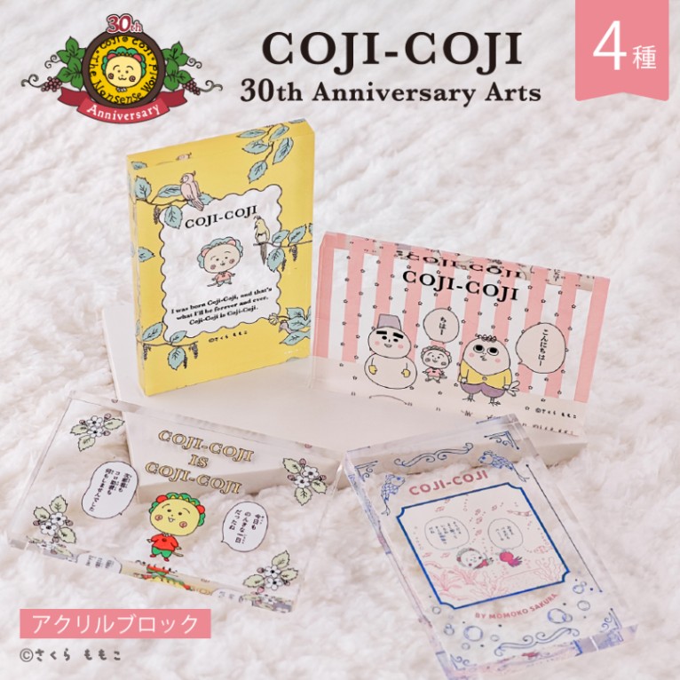 KARA ジヨンジ 会場50個限定品 アクリルブロック アクリルブロック COJI-COJI 30th Anniversary Arts | 雑貨 | | 【日本