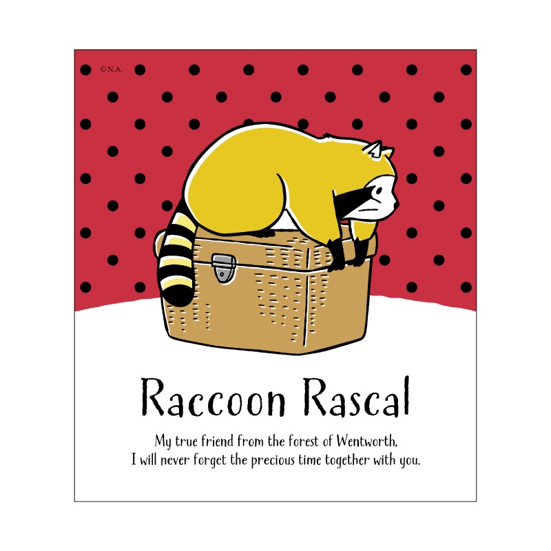 あらいぐまラスカル LDコレクション