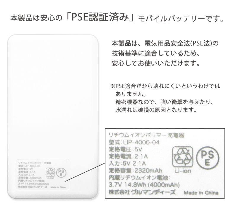 �ץ��饹���� �ܥ��˥��� 4000mAh USB���Ͻ��Ŵ� 2.1A