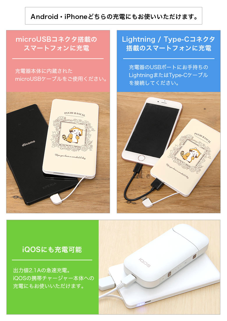 �ץ��饹���� �ܥ��˥��� 4000mAh USB���Ͻ��Ŵ� 2.1A